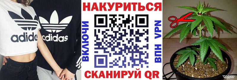 Каннабис SATIVA & INDICA  Завитинск 